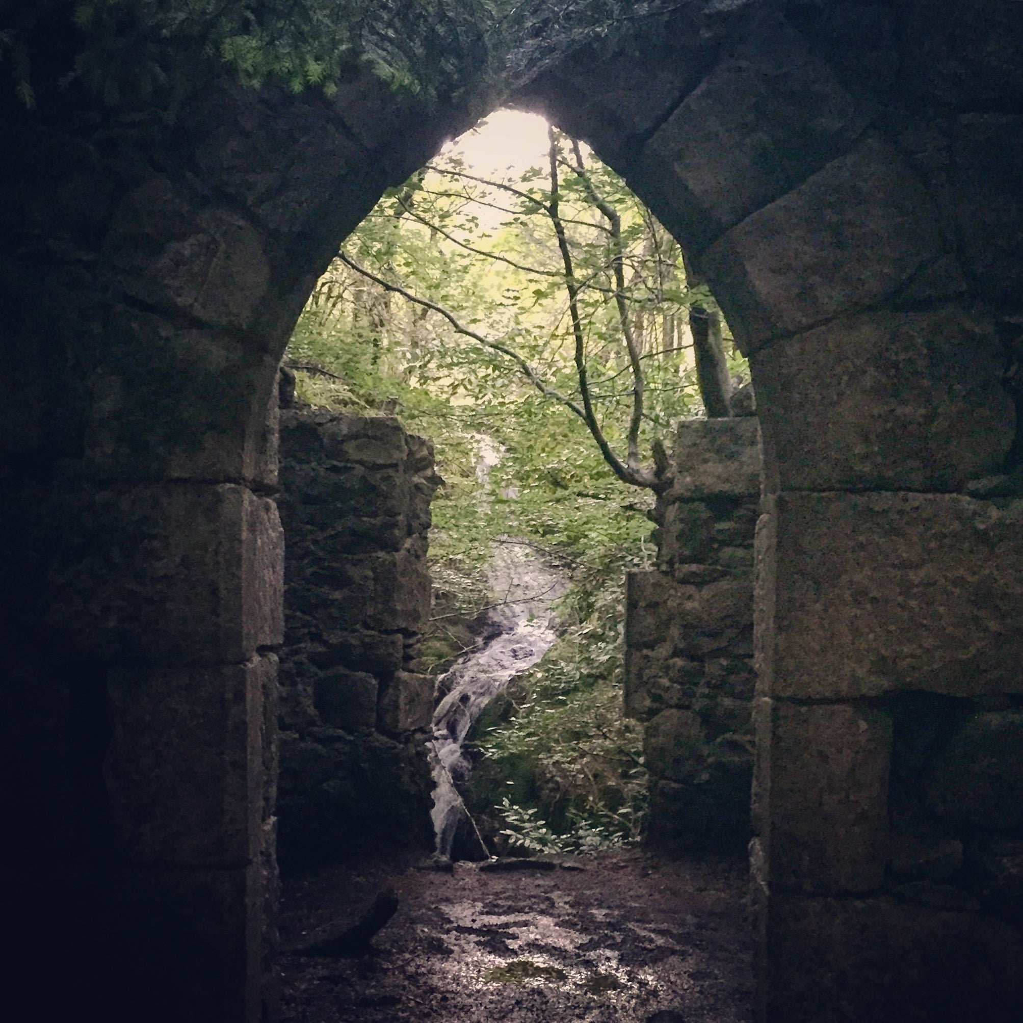 Our inspirational Foghouse 