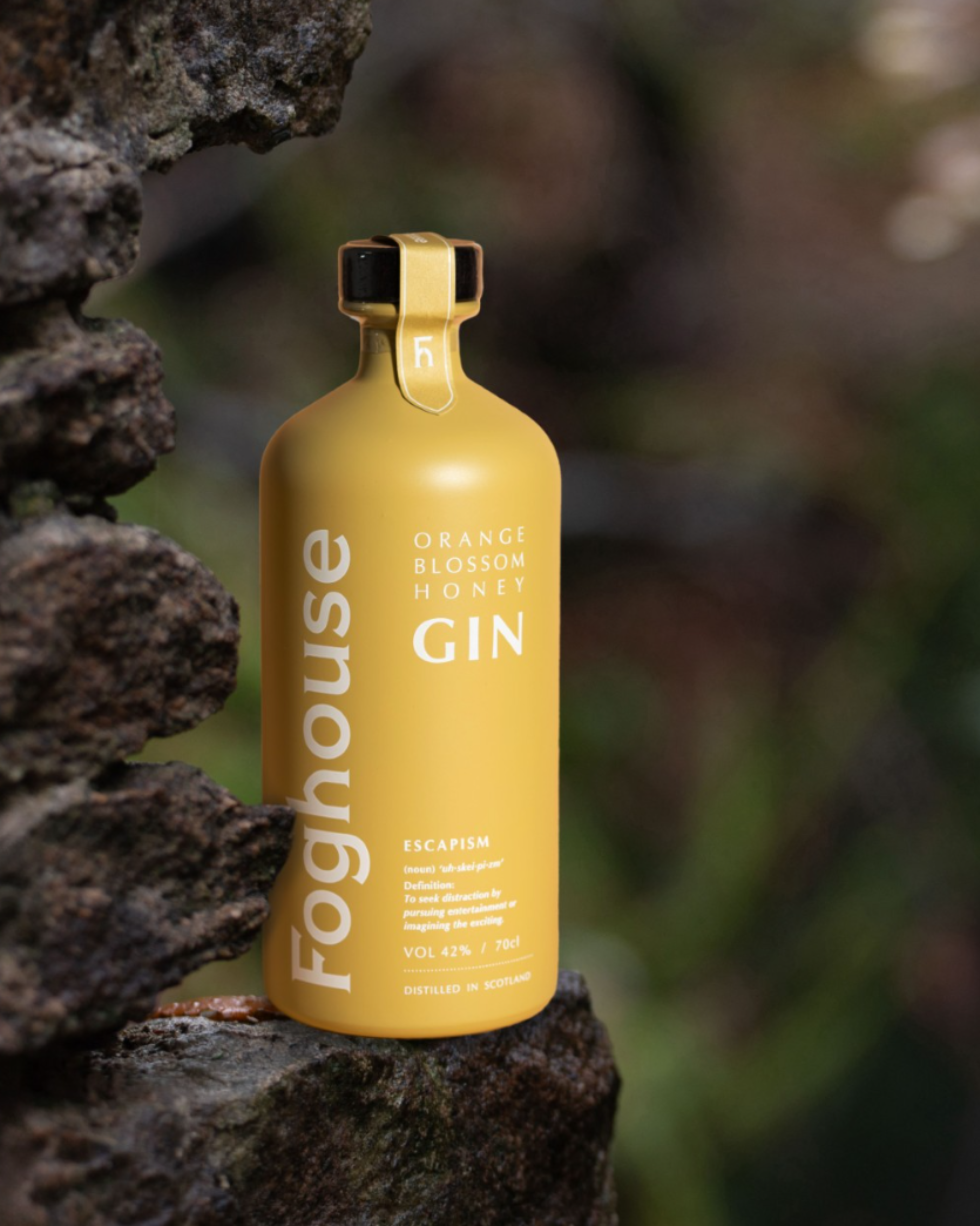 Foghouse Orange Honey Gin 70cl